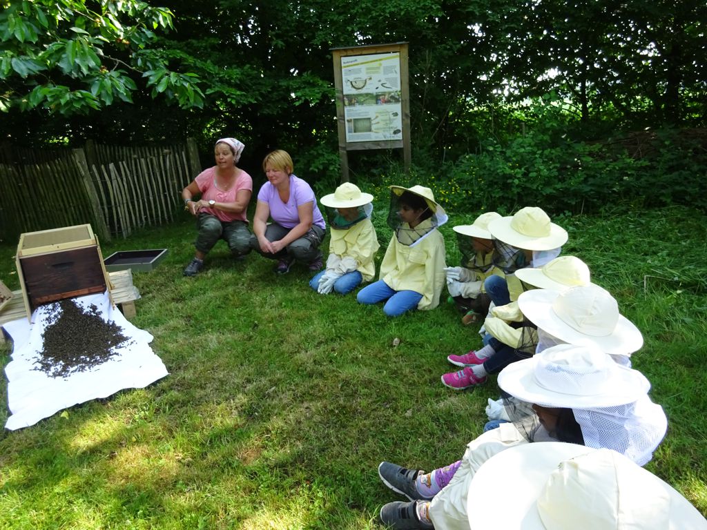 Ein Bienenschwarm zieht ein