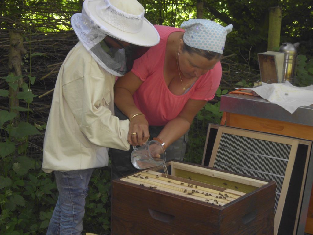 Bienen füttern